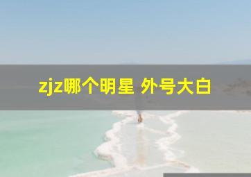 zjz哪个明星 外号大白